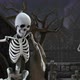 Skeletons dancing salsa in a cemetery - VideoHive Item for Sale