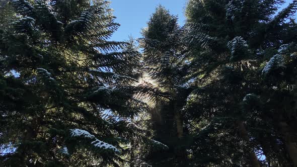 Beautiful Mountains of the North Caucasus in the Autumn Season Arkhyz KarachayCherkessia alt