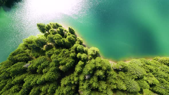 Aerial view of a forest lake. Top view of blue lake and green forests on a sunny summer day.  alt