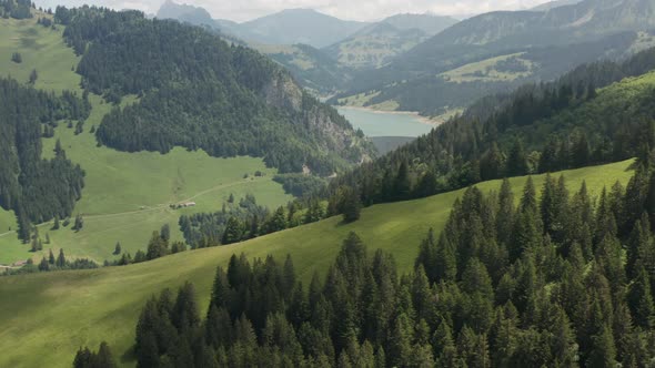Aerial of beautiful green hilly landscape in Switzerland alt
