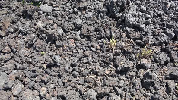 Spongy Porous Broken Basalt Stones, Stock Footage | VideoHive