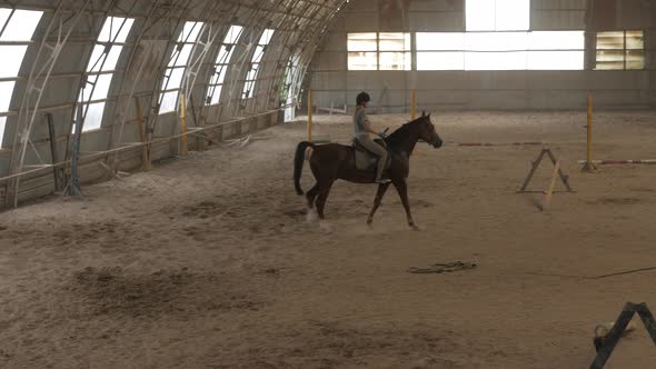 A girl trains a horse in an arena. Horse riding, horse racing, jumping alt