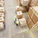 Warehouse Workers Inspect Cardboard Boxes - VideoHive Item for Sale