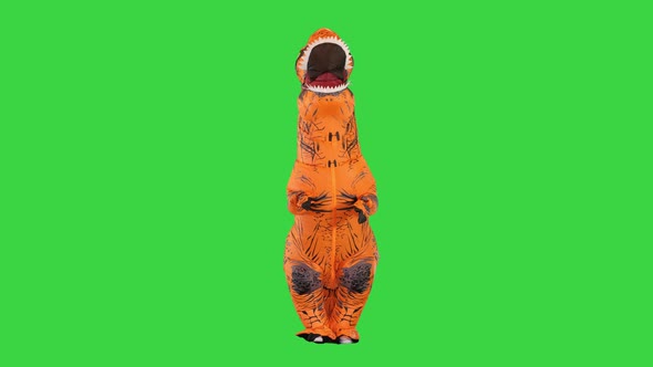 Man in a Dinosaur Costume Walking on a Green Screen Chroma Key alt