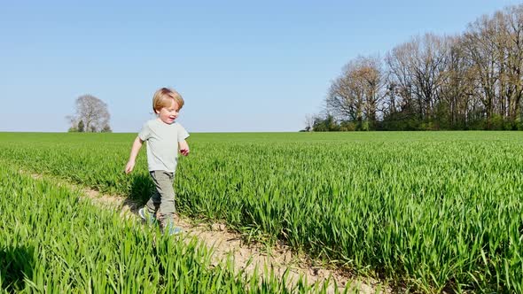 Cute Boy Run Smiling in the Clear Spring Field alt