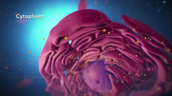 All chromosomal DNA is stored in the cell nucleus, separated from the cytoplasm by a membrane alt