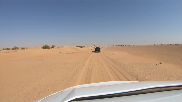 Car is Driving Through Oasis alt