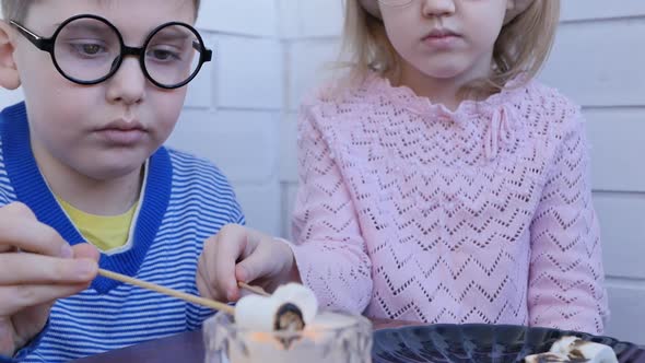 Two Caucasian Funny Teenagers in Round Glasses Roast Marshmallows Putting It on Wooden Sticks From