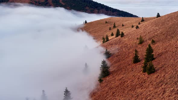 The fog in the mountains spills over the trees in the national park in the Slovak Carpathians alt