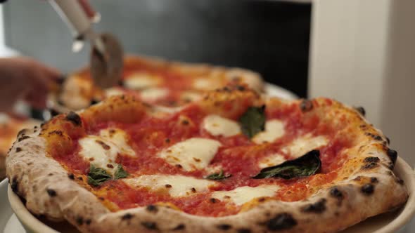 Chef in the Pizzeria Prepares a Pizza and Decorates It with Parmesan Cheese Pepper and Basil alt