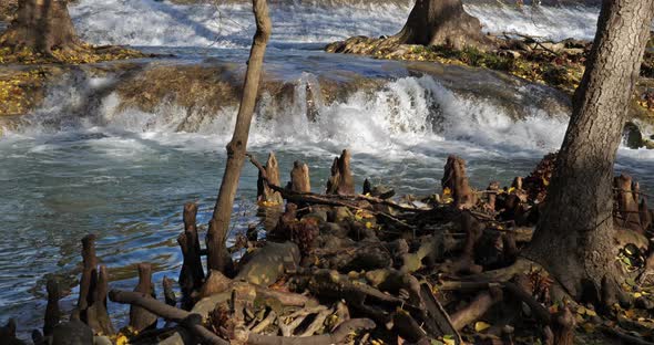 Lunaret Nature reserve, Montpellier, Hérault department, Occitanie, France. alt