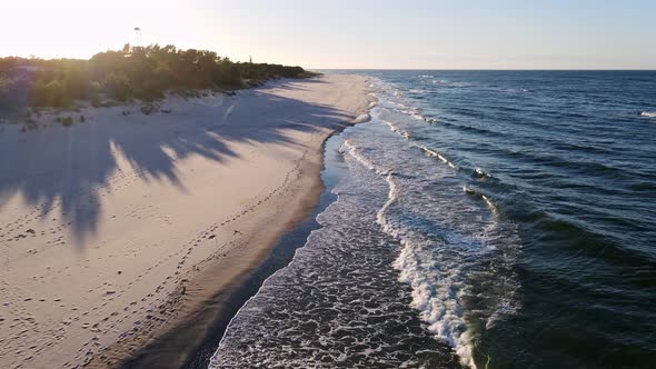 Drone View of Ocean Shore with Wild Forest at the Sunset