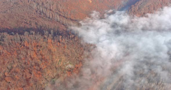 Beautiful Panorama of Autumn Mountains Hills the Morning Fog in Valley Between Mountain Slopes alt