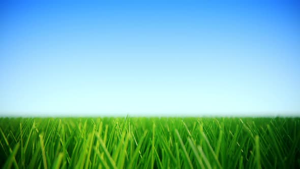 A walk through the business district with skyscrapers overhead. Loopable HD alt