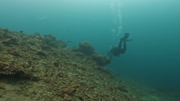 A Diver Exploring the Deep Ocean in the Philippines with Beautiful Corals and Fishes
