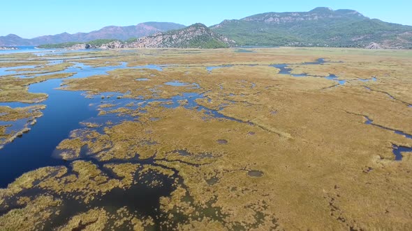 Aerial Swamp Wetland and Lake Next to Reed Delta by Sea