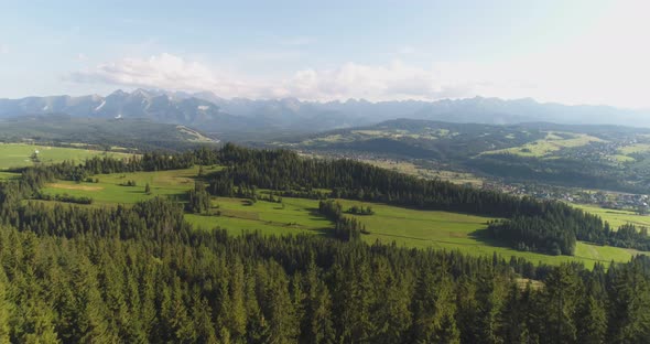 Flying Over the Forest Trees Landscape Panorama alt