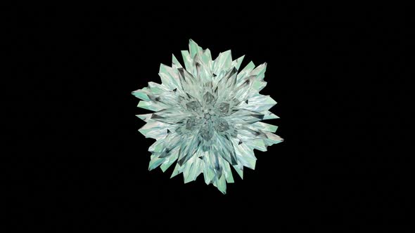 Snowflakes with Effects on a Black Background alt