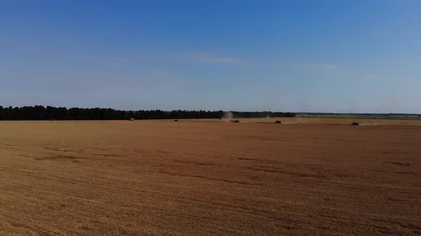 Harvesting grain field, crop season. 4K. alt