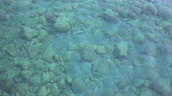 Transparent Water On The Sea Shore alt