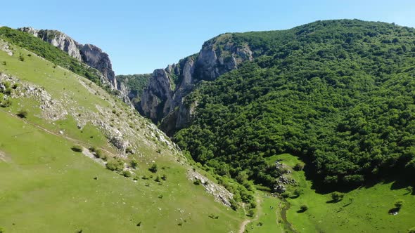 Aerial view of the green valley floor and small Hasdate River flowing through Turda Gorge. A scenic alt