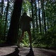 Teenage Girl Dancing In The Forest In Silhouette Standing Back To The Camera With Sun Shining - VideoHive Item for Sale