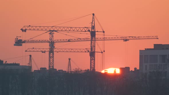 Dark Silhouette of Tower Cranes with Big Setting Sun at High Residential Apartment Buildings alt