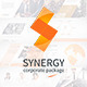 Synergy - Corporate Presentation Pack - VideoHive Item for Sale