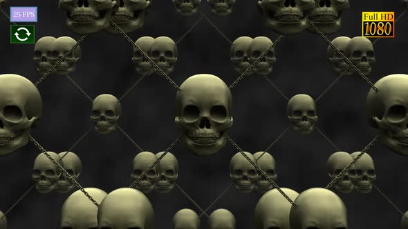 Skull Oblique HD
