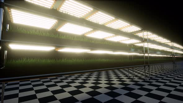 Modern Green Hydroponics Healthy Food Vegetable Plant Factory in Exhibition Space Warehouse alt