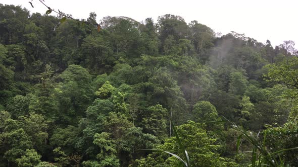 Aerial view of foggy rainforest or tropical forest. Flight over of jungle in Bali, Indonesia. alt