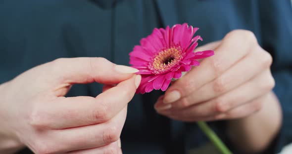 Hand picking the flower petals off alt