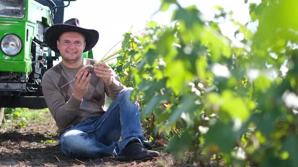 A Young Farmer Inspects a Carrot Harvest alt