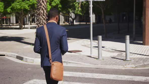 Rear view of african american businessman walking on zebra crossing alt