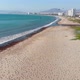 A lot of Birds on the pacific ocean coast Beach (Coquimbo, Chile) aerial view - VideoHive Item for Sale