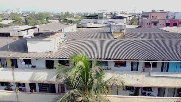 Drone moving backwards as pigeons fly alt