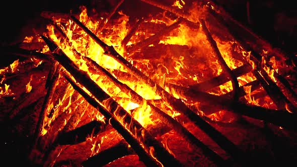Big Campfire of the Logs Burns at Night in the Forest. Slow Motion in 180 Fps alt