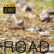 Forest Rocky Road 2 - VideoHive Item for Sale