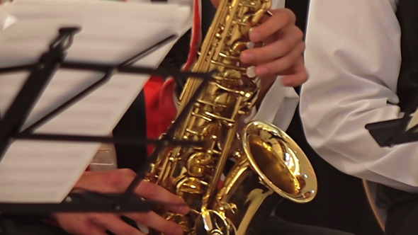 Musician Paying The Saxophone 2