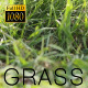 Slider Green Grass - VideoHive Item for Sale