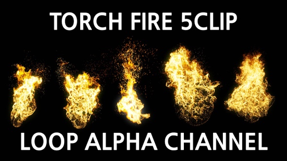 Torch Fire Loop Alpha Channel 5Clip