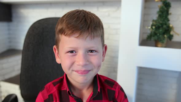 Boy Nods His Head Yes a Gesture of Agreement Agrees Supports alt