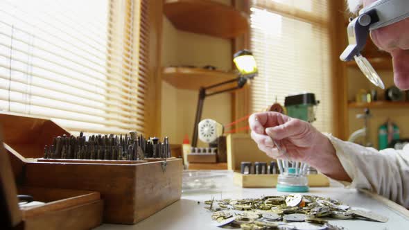 Horologist repairing a watch alt