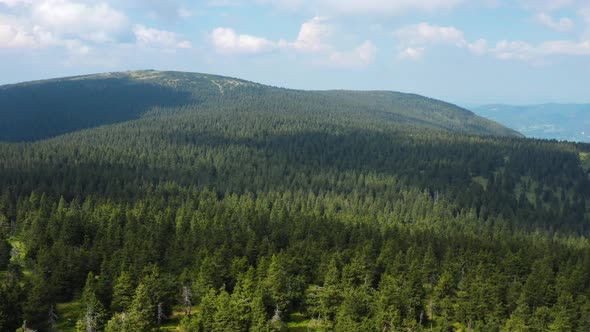 Beautiful aerial view of the forest. Mountains of the Czech Republic ...