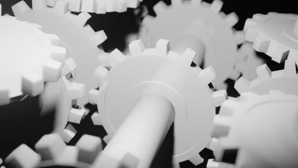White Gearwheels