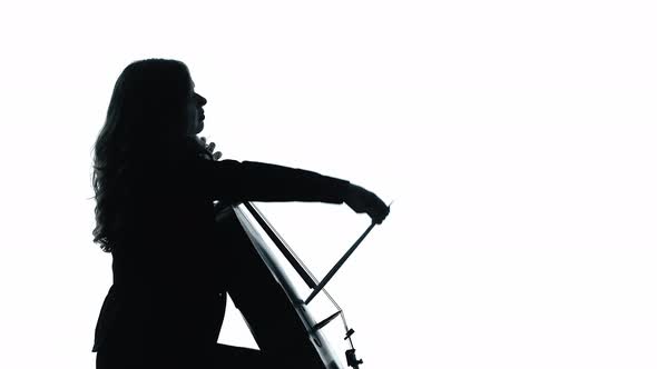 Female Cello Player Playing Violoncello. Silhouette