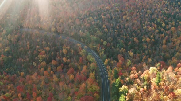 Aerial flythrough of Winding Road Through Autumn Trees with Fall Colors in New England