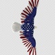 American Eagle - USA Flag - Flying Transition - V - 309
