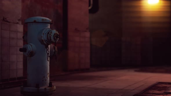 Fire Hydrant in Small Town alt