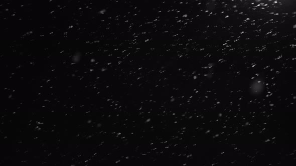 Snow Falling Over Black Background or Night Sky